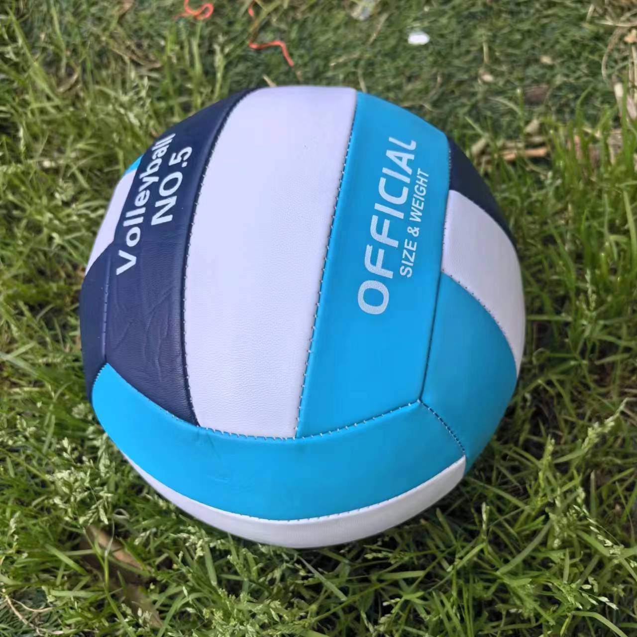 Damen Volleyball Karnz
