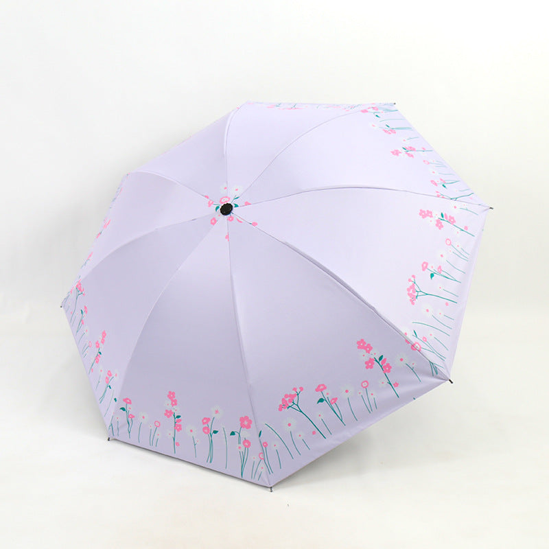 Damen Regenschirm mit floralen Akzenten Karnz