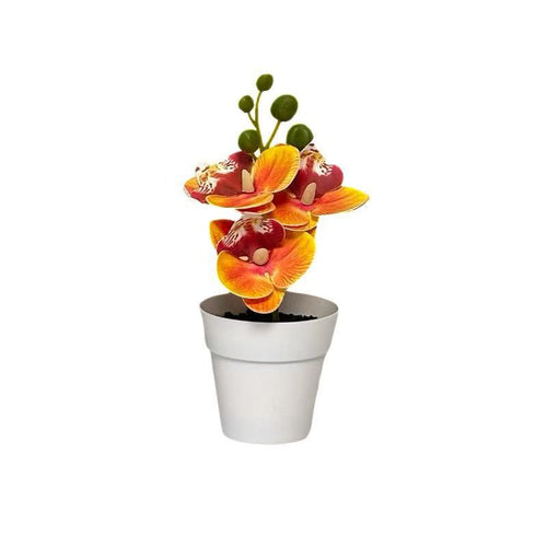 Lebensechte florale Orchideenarrangement für die Wohnkultur