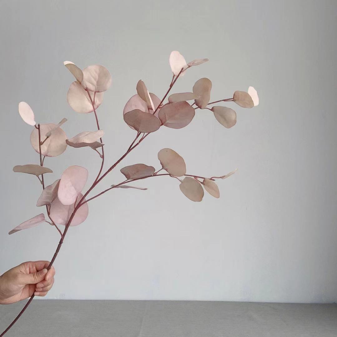 Dekorativer Eukalyptus-Stiel