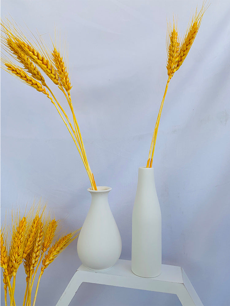 Dekorative Keramische Karnz