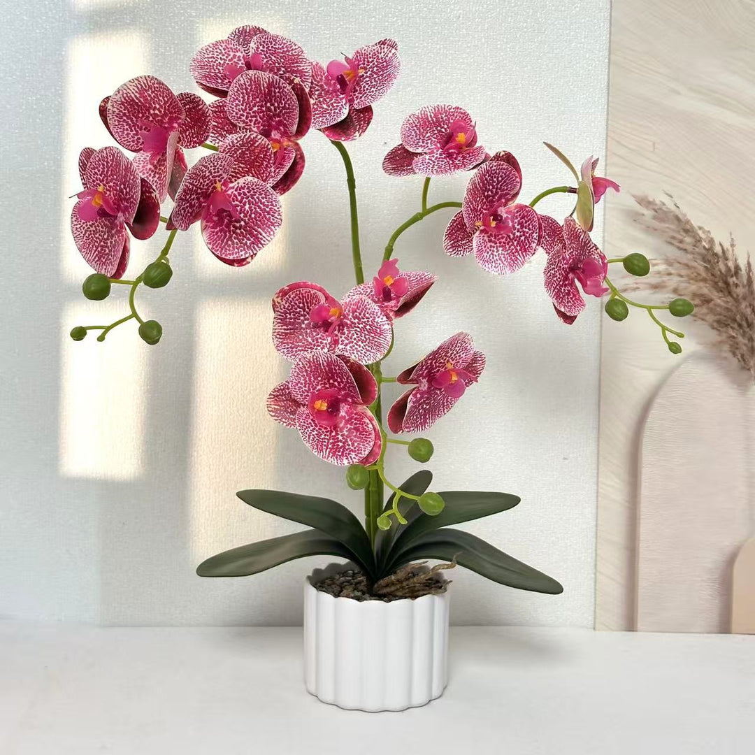 Realistische Künstliche Orchideenblumenanordnung für die Wohnkultur
