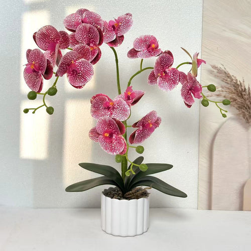 Realistische Künstliche Orchideenblumenanordnung für die Wohnkultur