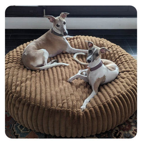 Runderplüsch Lounge Hundebett