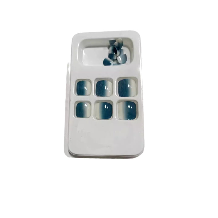 Premium Ombre Press-On Nagelset Karnz