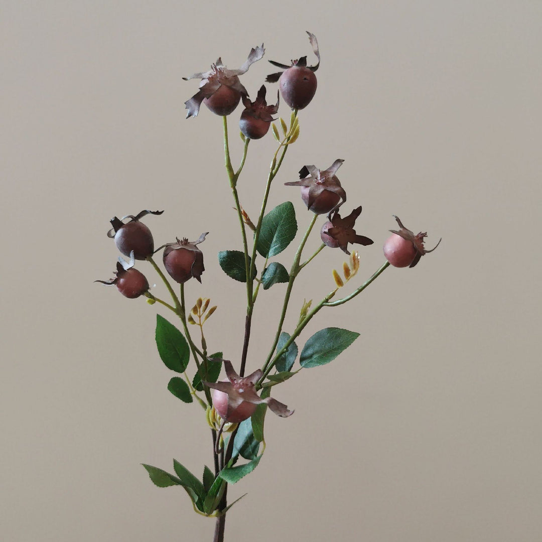 Dekorativer natürlicher getrockneter Blumenstiel