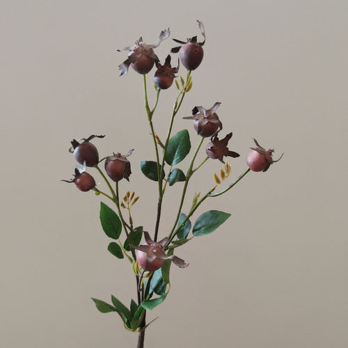 Dekorativer natürlicher getrockneter Blumenstiel