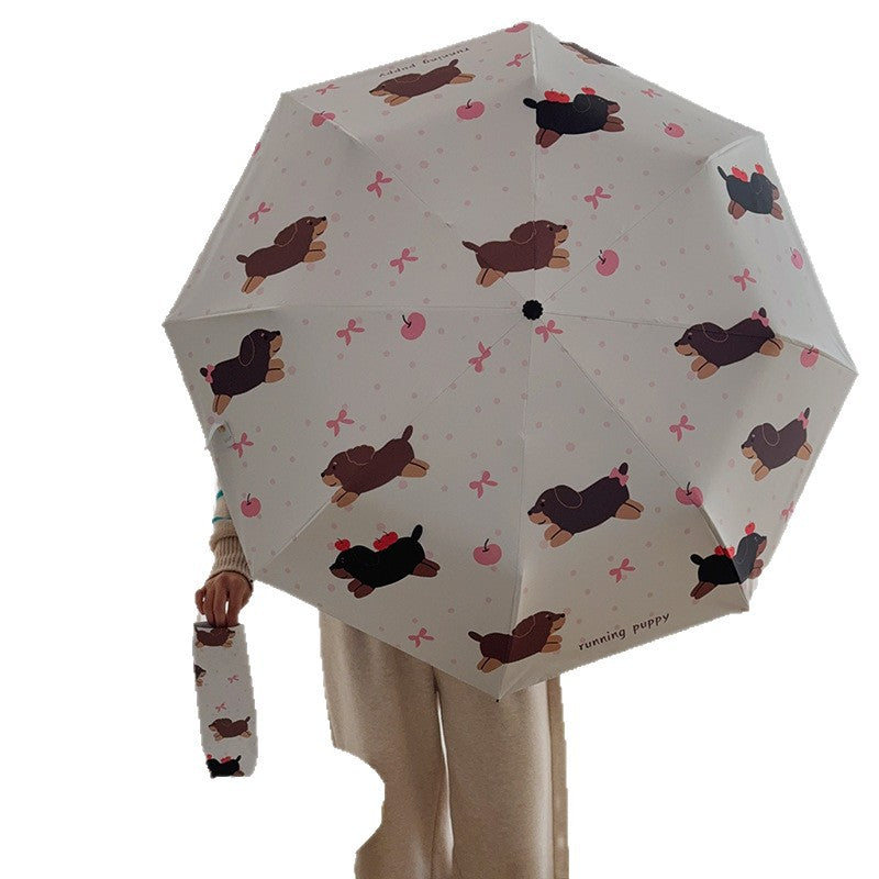 Damen Regenschirm Karnz