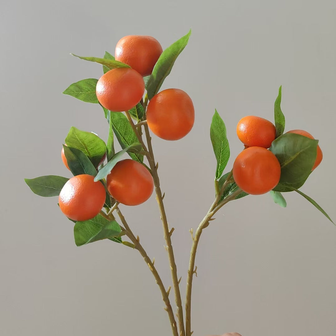 Dekorative Orange Obststängel