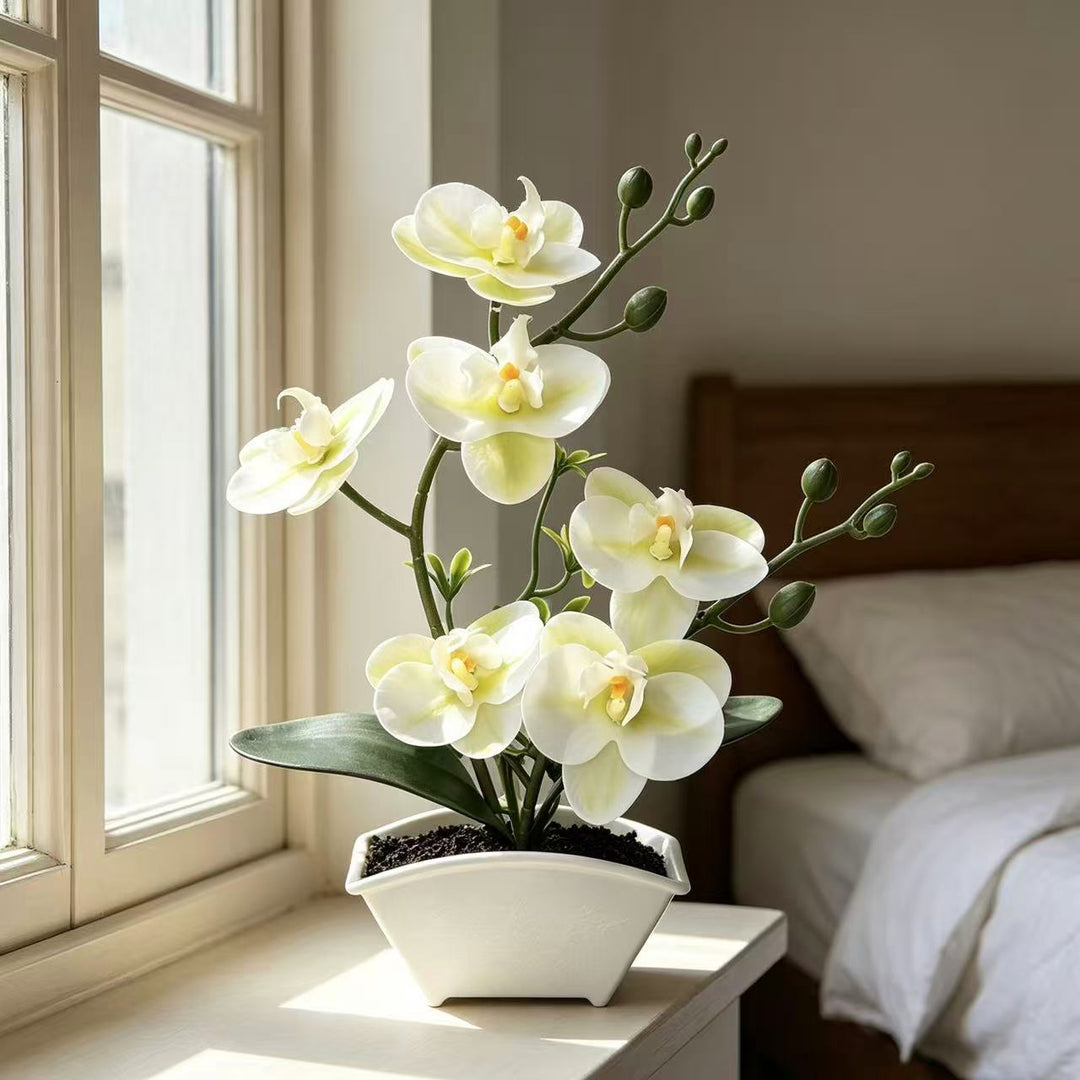 Realistische Dekorative Orchideen Pflanzenanordnung