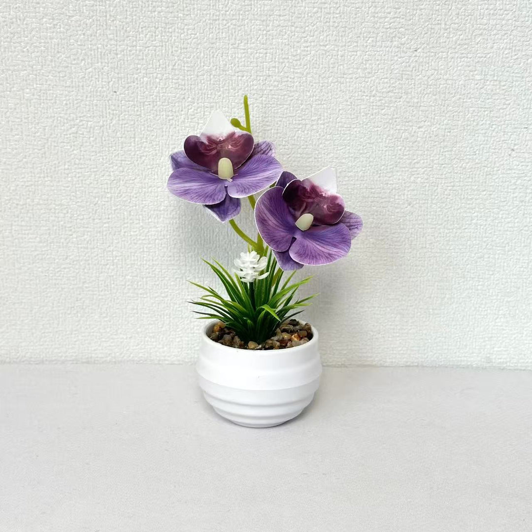 Dekorative Miniaturorchideen-Tischdekoration