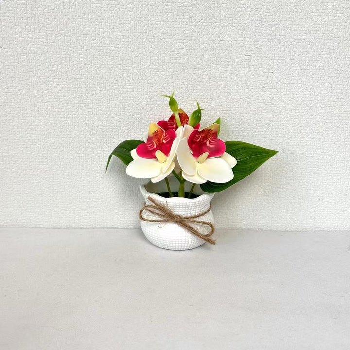 Dekorative Miniatur-Orchideen-Arrangement