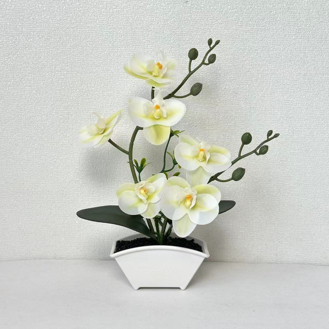 Realistische Dekorative Orchideen Pflanzenanordnung