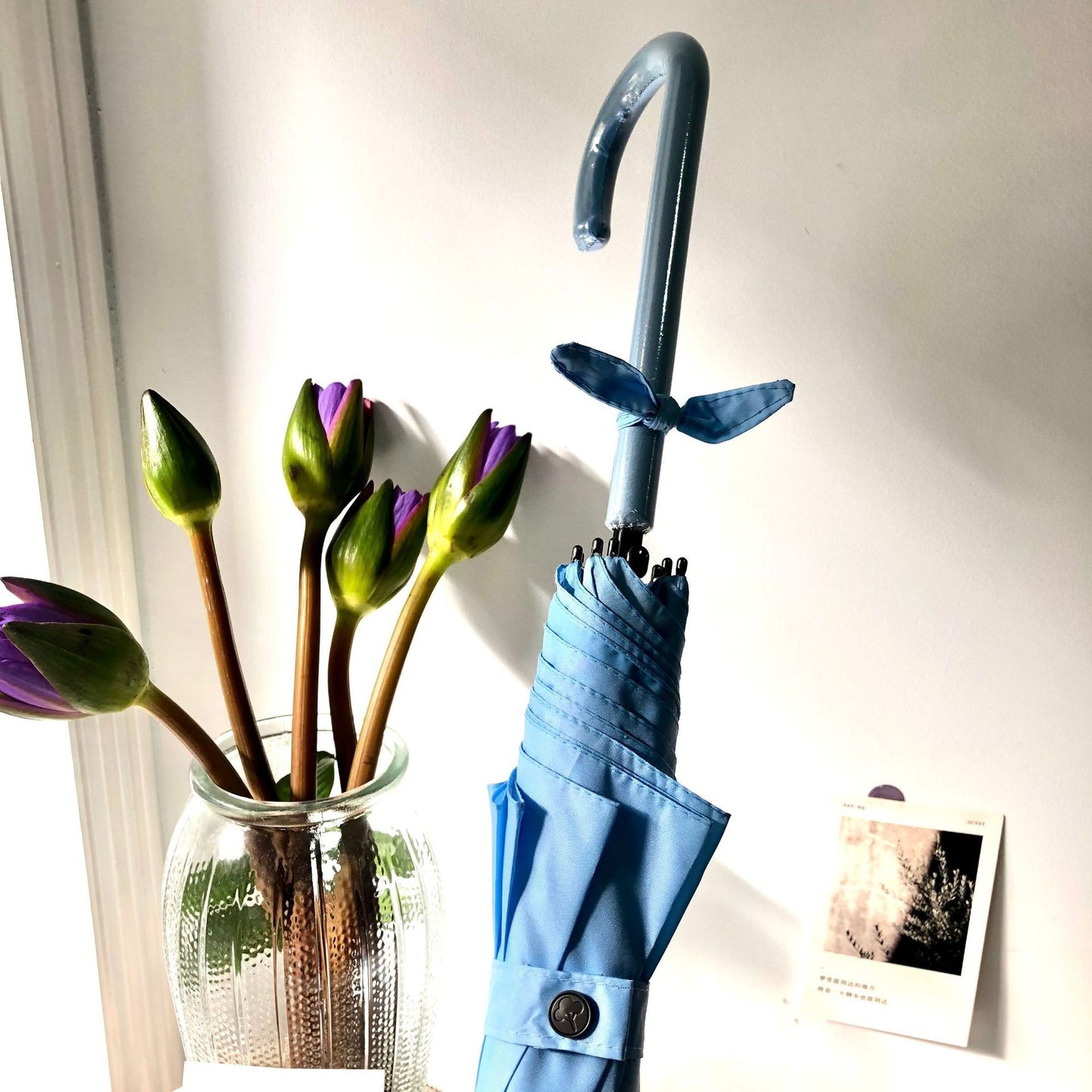 Damen Faltbarer Regenschirm mit geschmackvollem Design Karnz