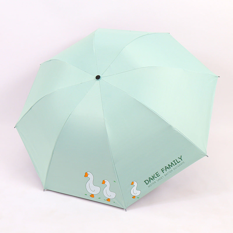 Damen Regenschirm Karnz