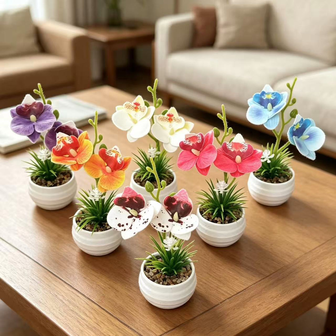 Dekorative Miniaturorchideen-Tischdekoration