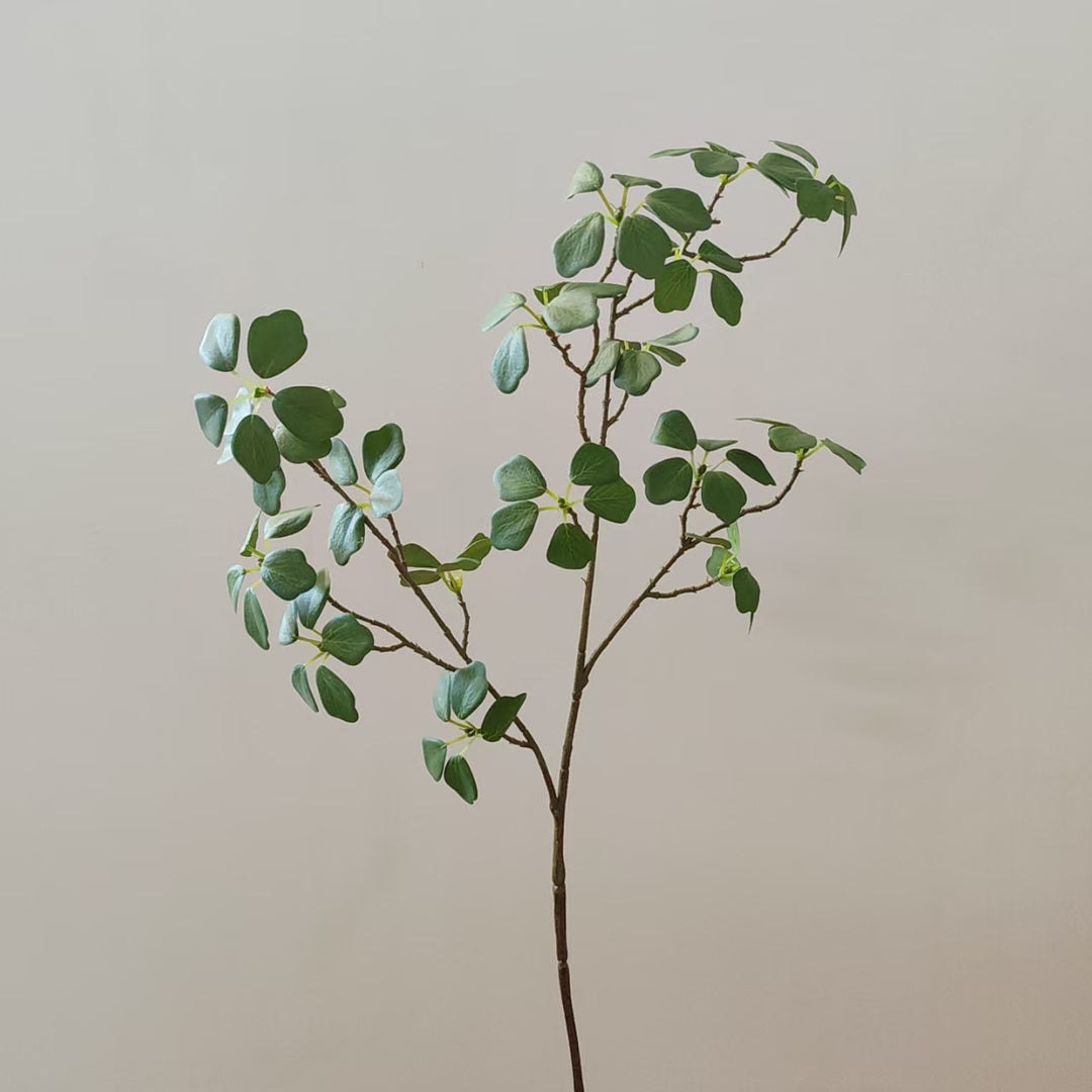 Dekorative Farnzweig