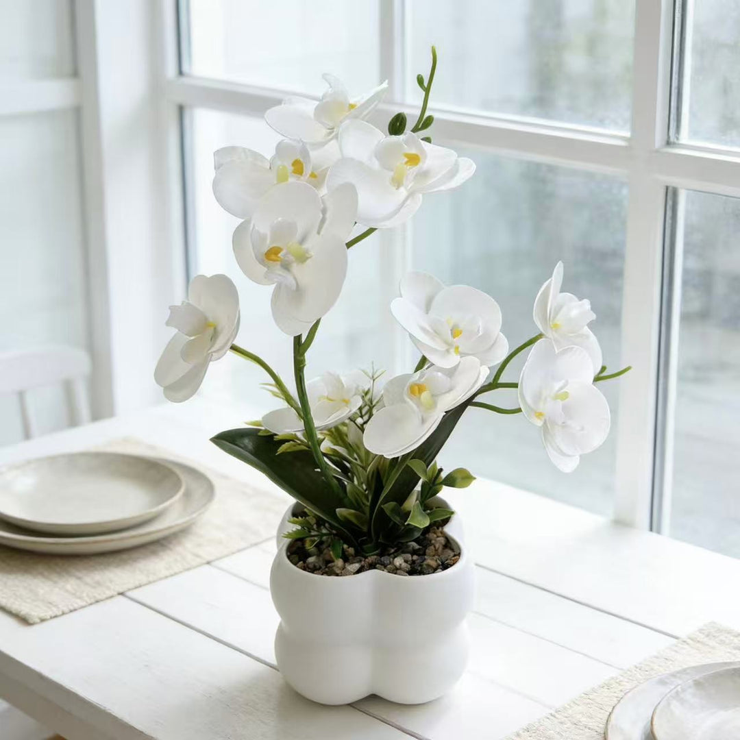 Lebensechte Orchideen-Blumenanzeige