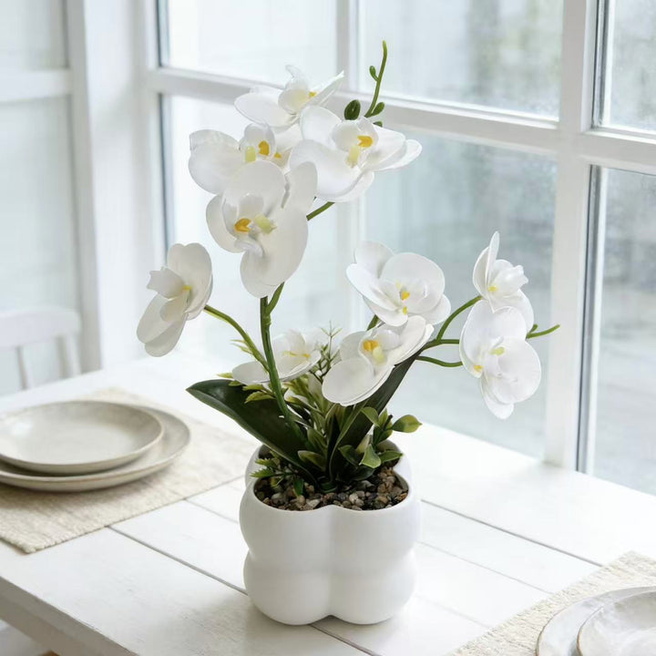 Lebensechte Orchideen-Blumenanzeige