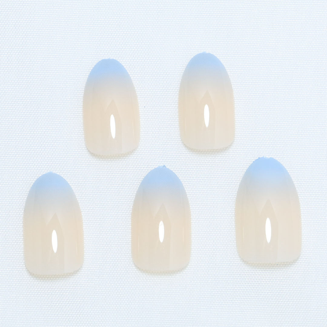 Premium Ombre Press-On Nails Karnz