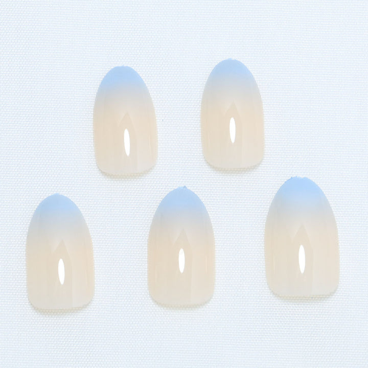 Premium Ombre Press-On Nails Karnz