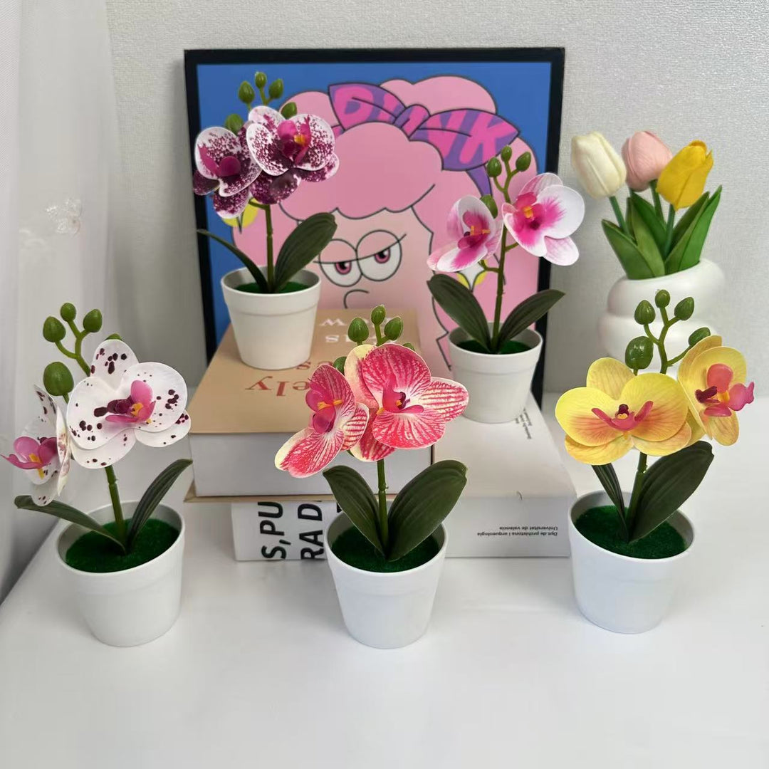 Künstliche Orchideenpflanze für dekorative Wohnanzeige und Styling