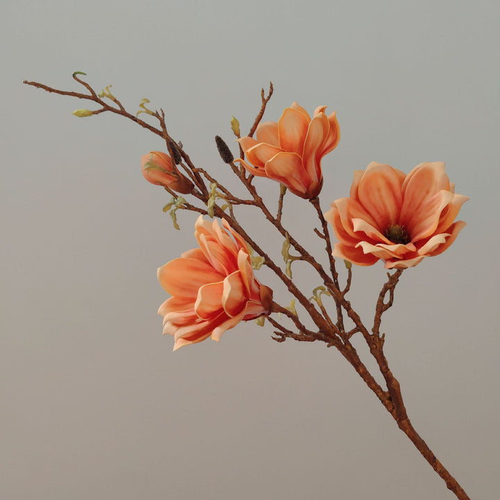 Elegante florale Stielanordnung