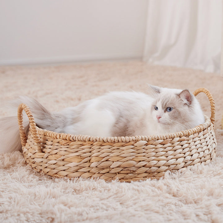 Kuscheliges Katzenbett Karnz