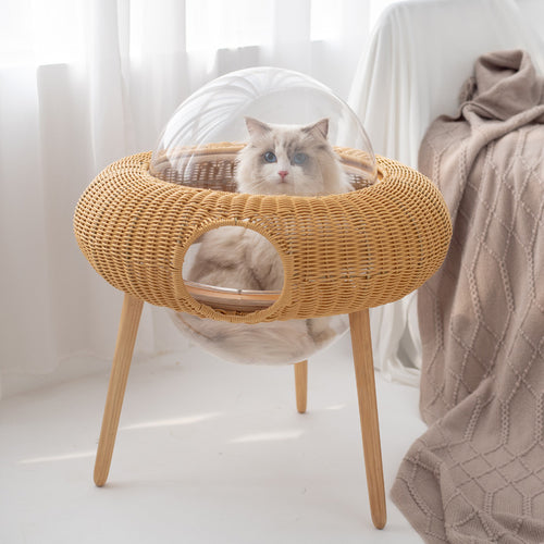Multifunktionaler Katzenmöbel Karnz