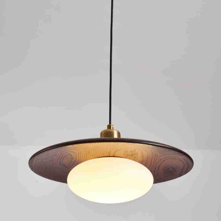 Moderne künstlerische Pendelleuchte
