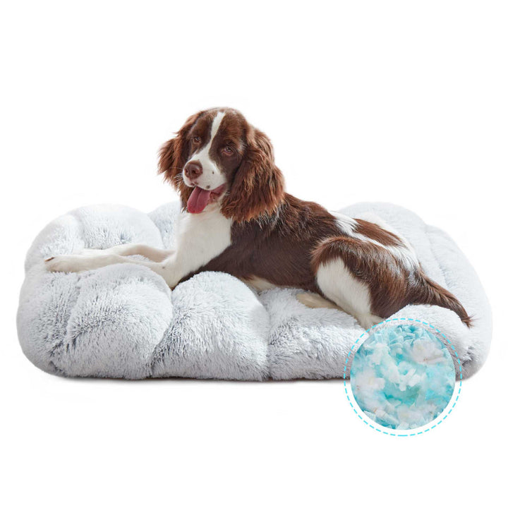 Orthopädisches Hundebett