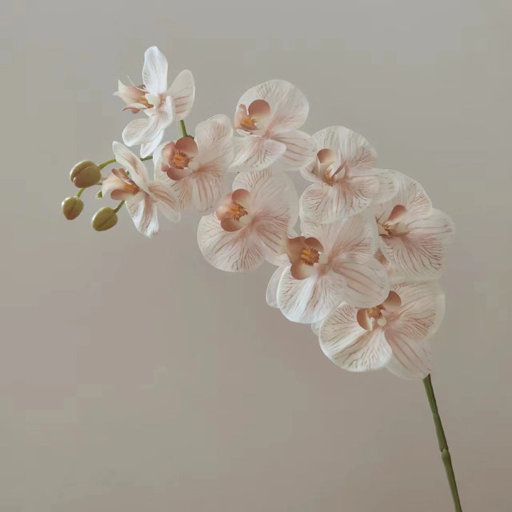 Realistische Orchideenblütenstängel