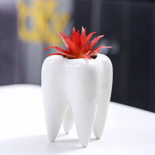 Kreativer zahnförmiger Blumentopf Karnz