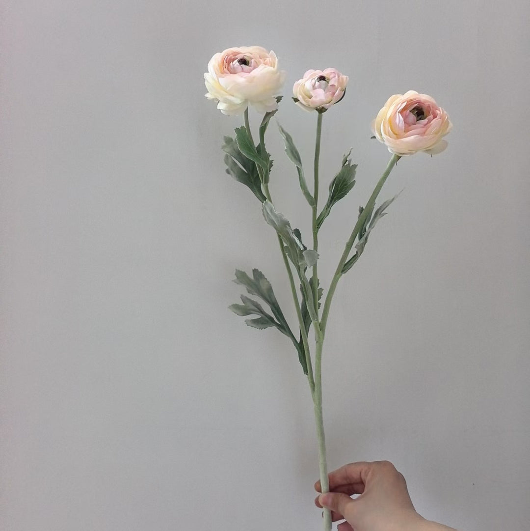 Realistische Ranunkel Blumenschaft