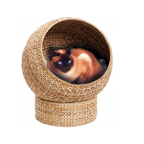 Katzenkuhle Karnz
