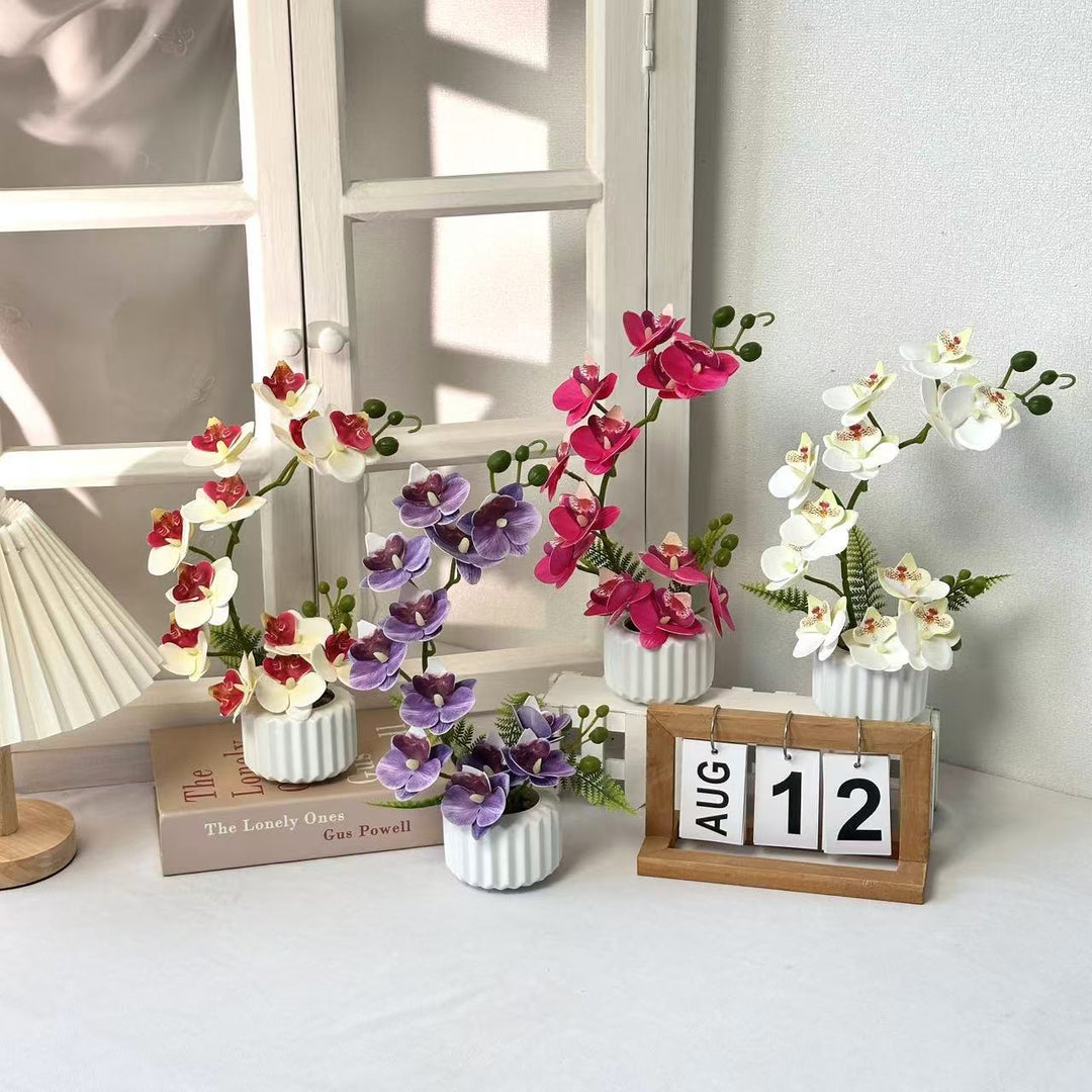 Elegante Orchideenblumenarrangement