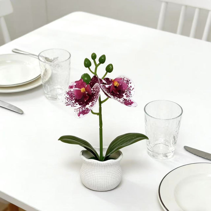 Elegante künstliche Orchideenpflanzenanordnung für die Wohnkultur-Darstellung