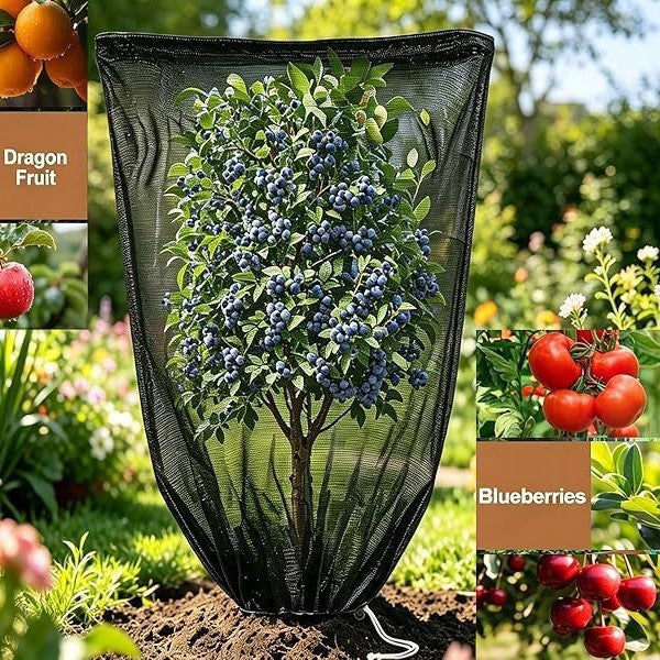 Garten Schattengewebe Karnz