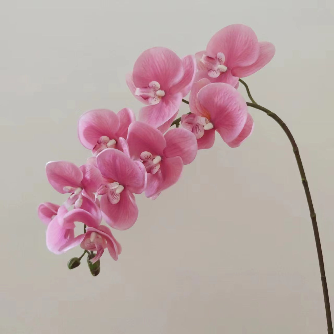 Realistische Orchideen-Blumenarrangement