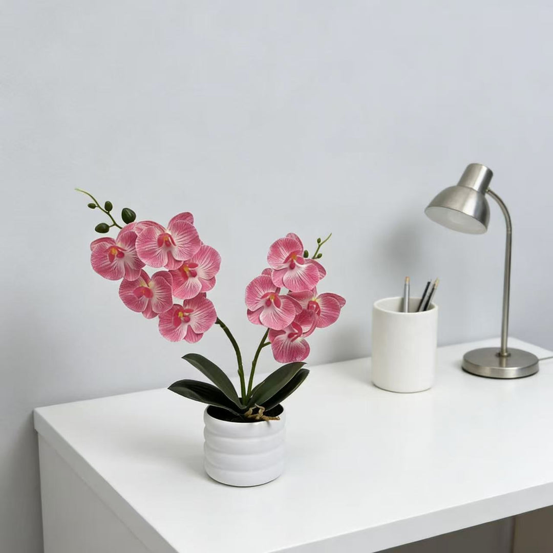 Lebensechte Orchideen Dekor