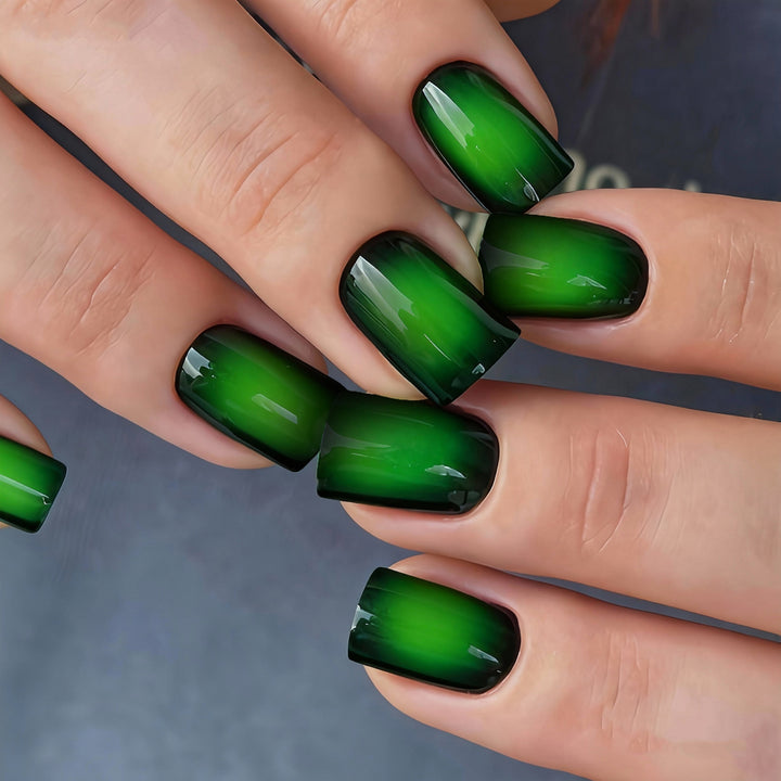 Ombre Stiletto Press-On Nail Art Karnz