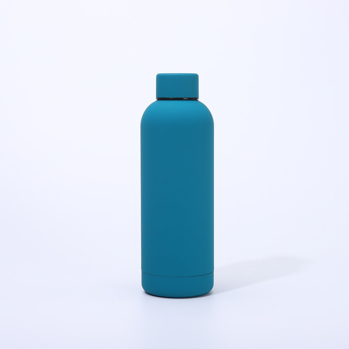Damen moderne isolierte Wasserflasche Karnz