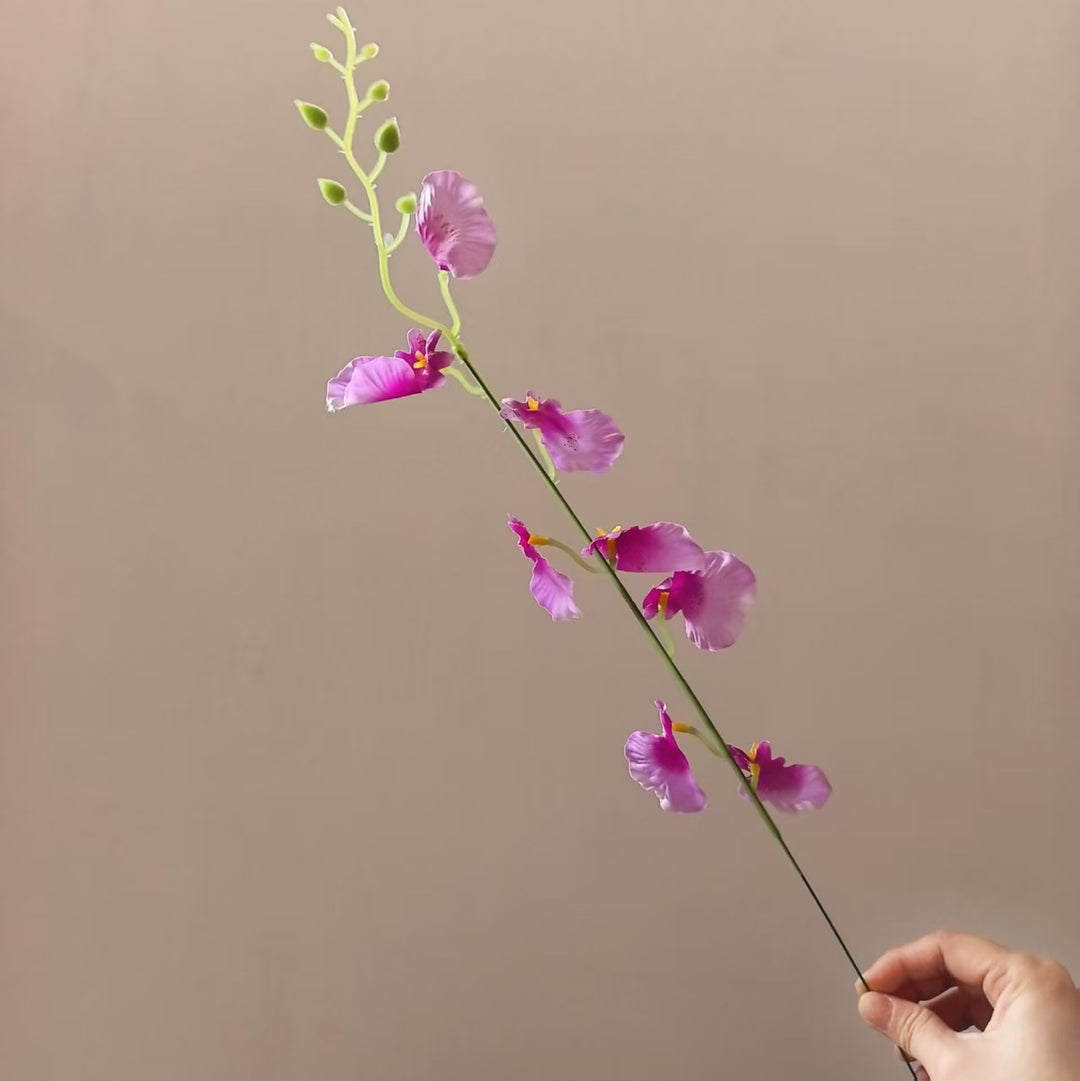 Dekorative Orchideenstängel