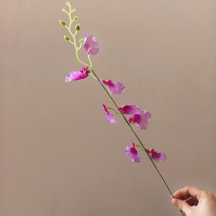 Dekorative Orchideenstängel