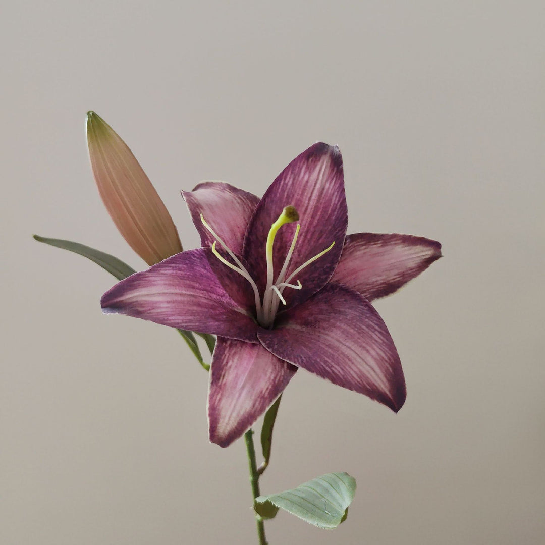 Lebensechte Lilienstiel
