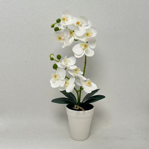 Elegante Kunst-Orchideenpflanze Anzeige