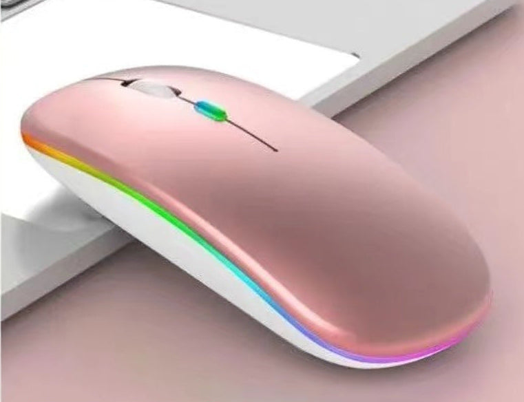 Drahtlose ergonomische Maus Karnz