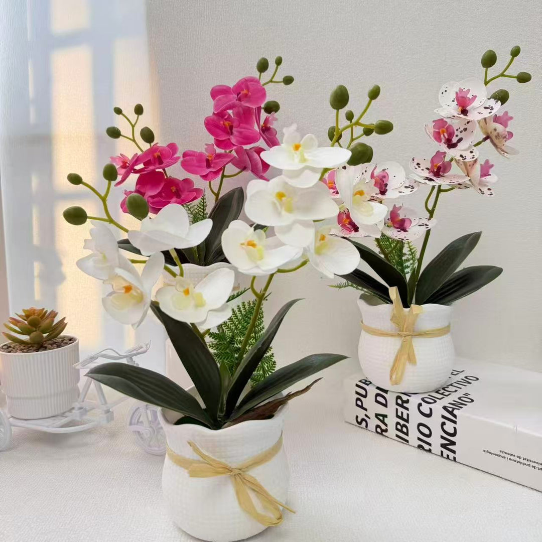 Realistische Dekorative Orchideenpflanze