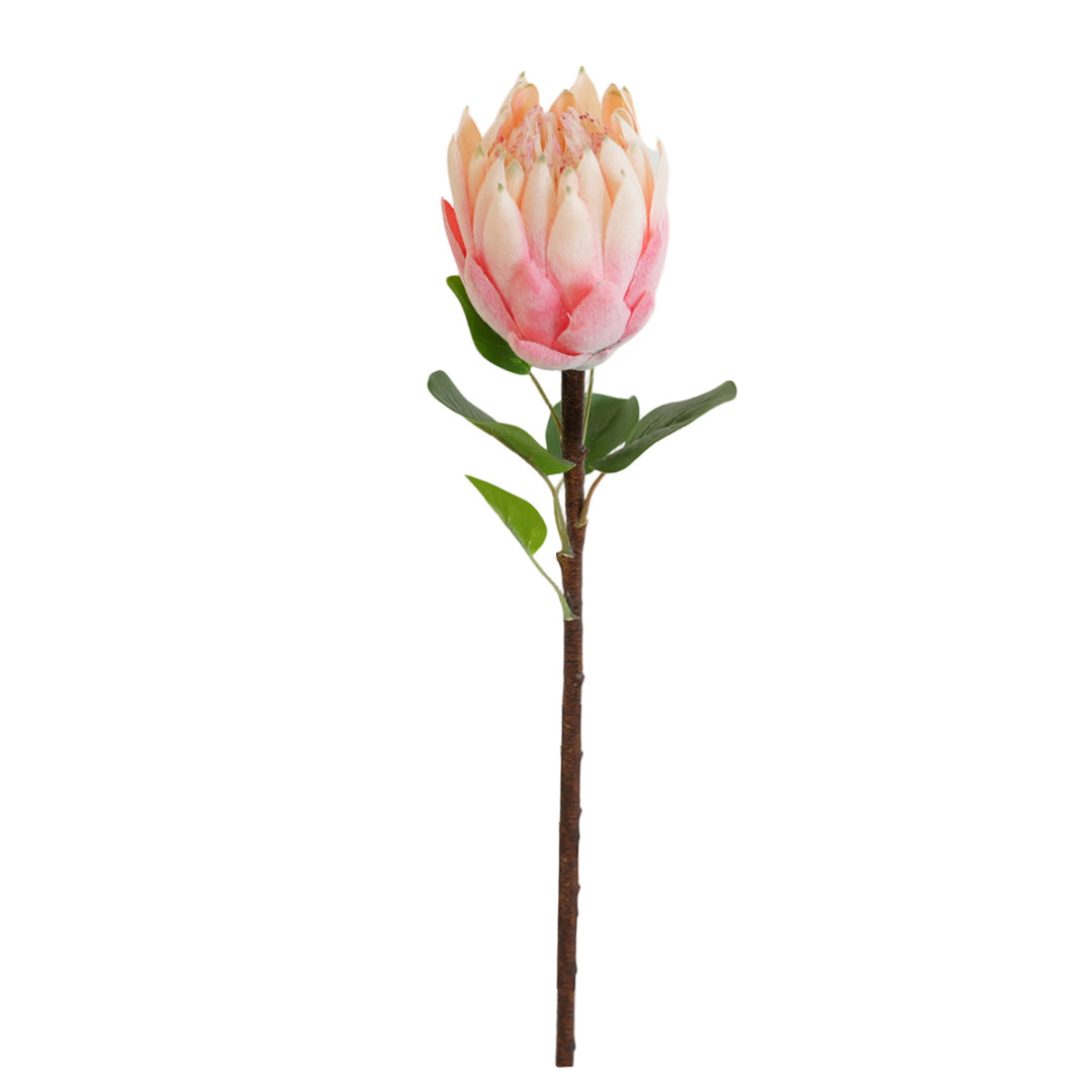 Künstliche Protea Blume Karnz