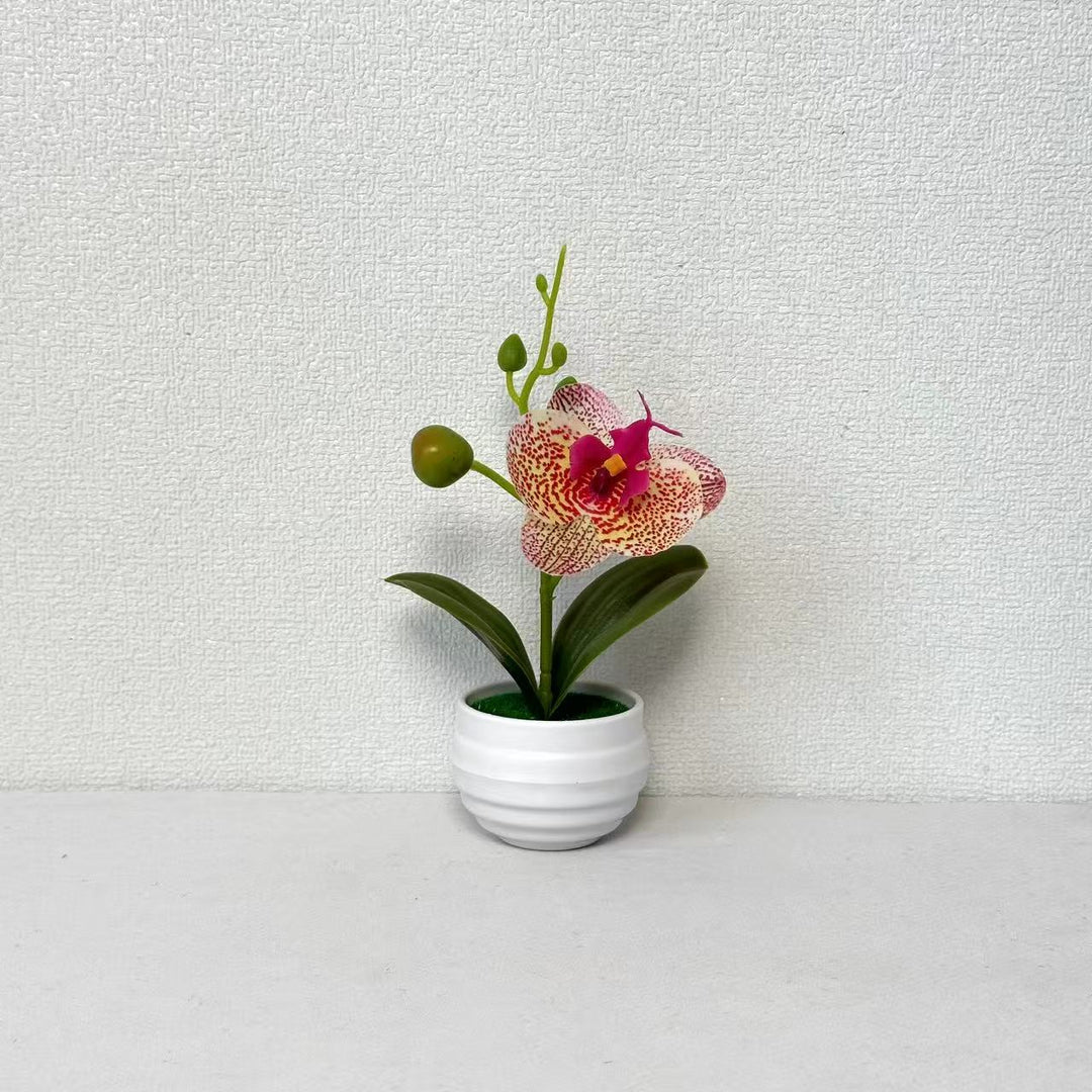 Lebensechte Orchideen Blumenkübel Dekoration